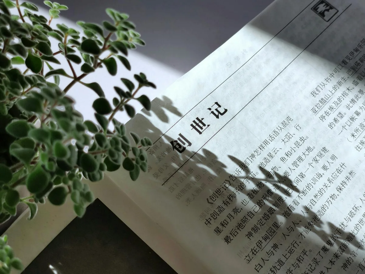 科幻近未来观察专题封面缩略图
